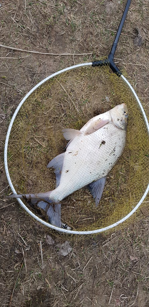 прикормка для холодной воды 00005.JPG